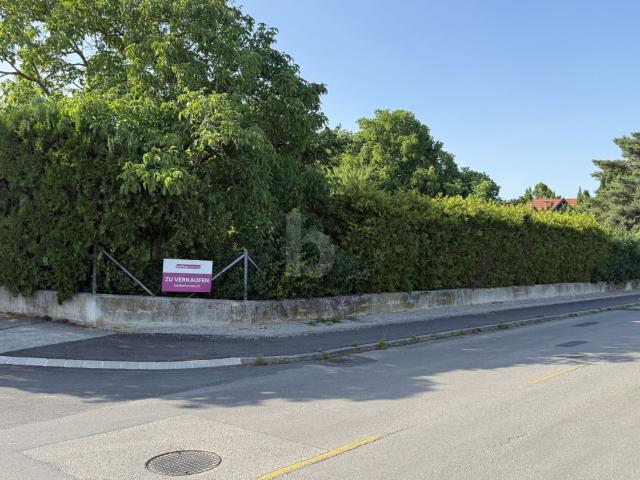 Grundstück kaufen in Mörbisch am See, Burgenland