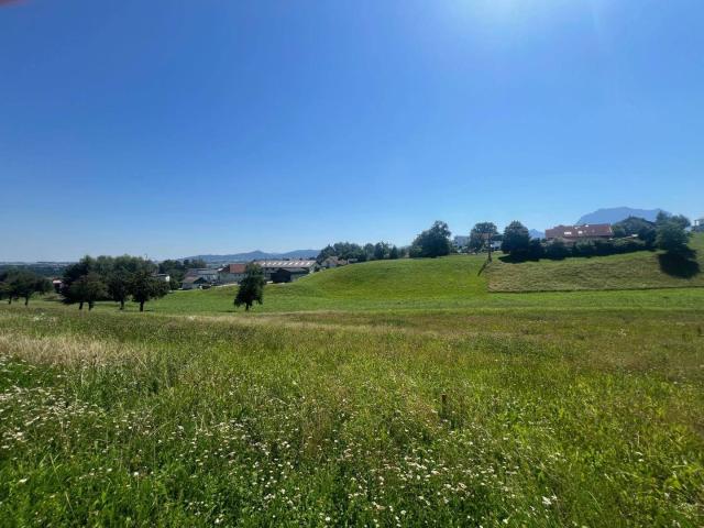 Immobilie kaufen in Hochleiten, Ohlsdorf