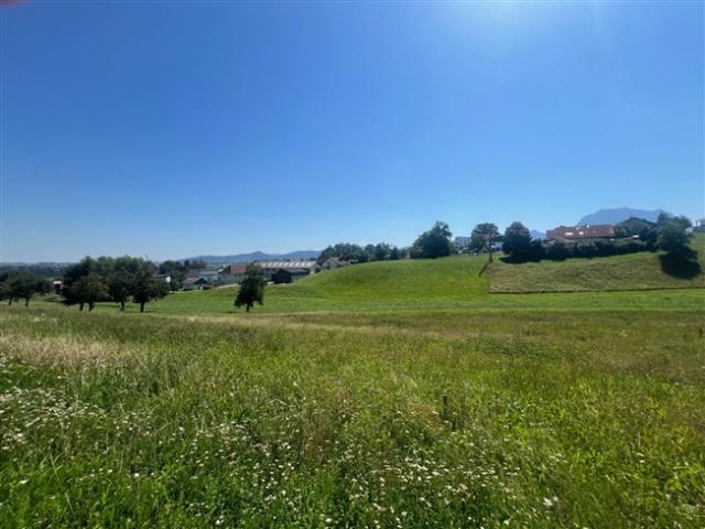 Grundstück kaufen in Ohlsdorf, Oberösterreich