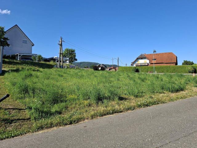 Immobilie kaufen in St. Lorenzen im Mürztal, Steiermark