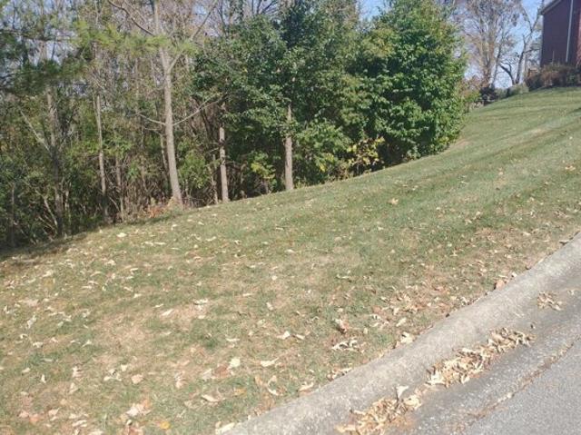 Land for sale in Winchester