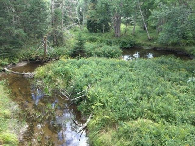 Land for sale in Washington, Knox County