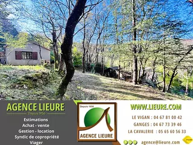 Maison vente à Le Cornier, Aumessas
