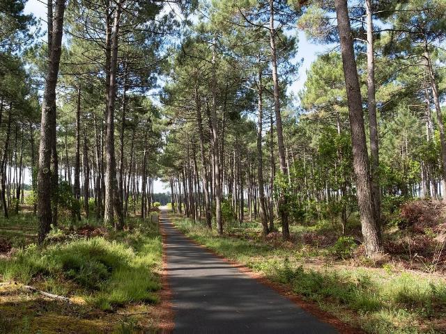 Terrain vente à Aureilhan, Landes