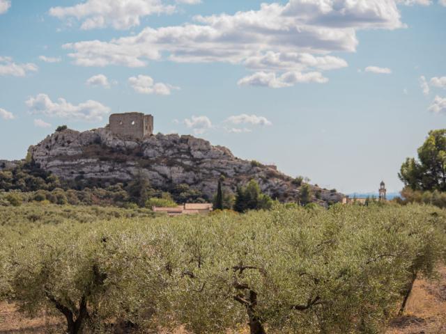 Terrain vente à Arles, Aureille