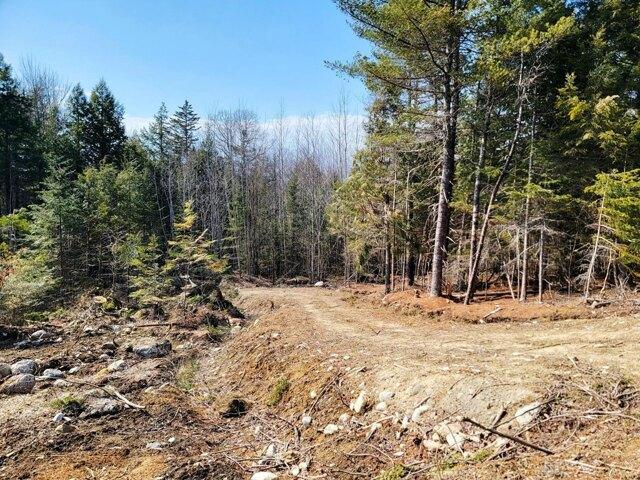 Land for sale in Maine
