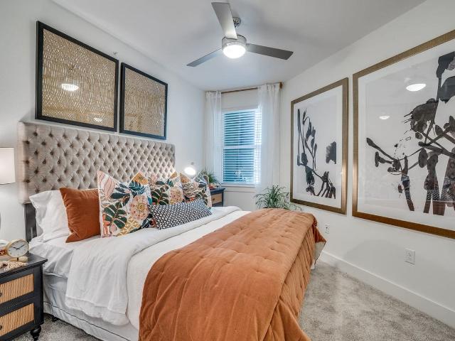 Apartment for rent in Mansfield