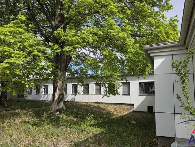 Grundstück kaufen in Gänserndorf, Niederösterreich