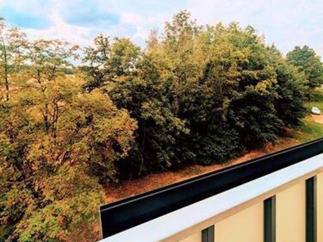Apartment mieten in Freiberg, Sachsen