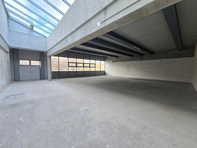 Immobilie mieten in Crissier, Waadt