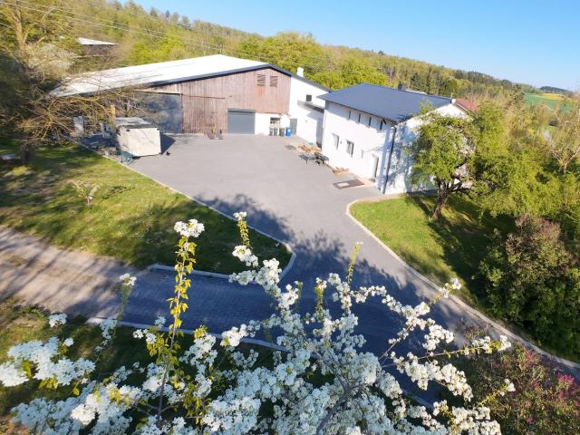 Villa kaufen in Buchen-Stadt, Buchen (Odenwald)