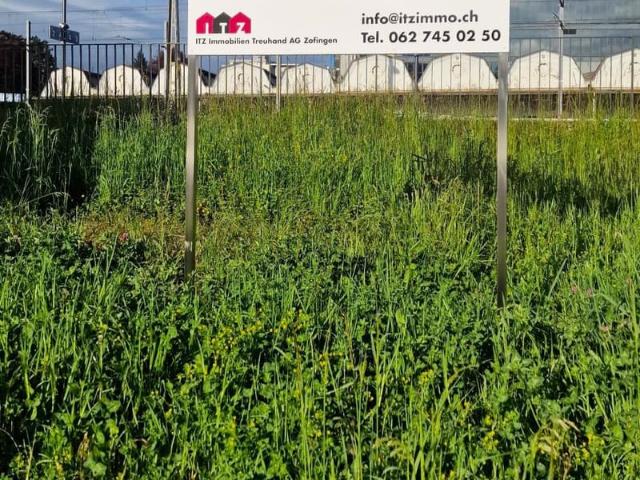 Immobilie kaufen in Gunzgen, Solothurn