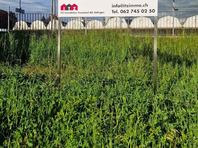 Immobilie kaufen in Zofingen, Aargau