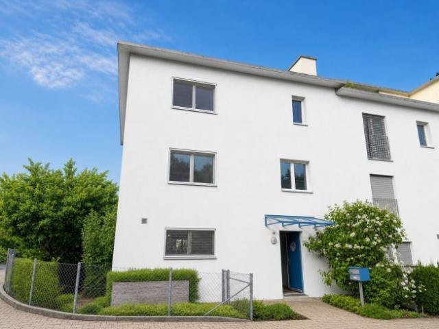 Reihenfamilienhaus kaufen in Wetzikon (ZH), Bezirk Hinwil