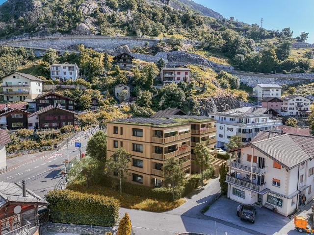 Wohnung kaufen in Steg (VS), Wallis