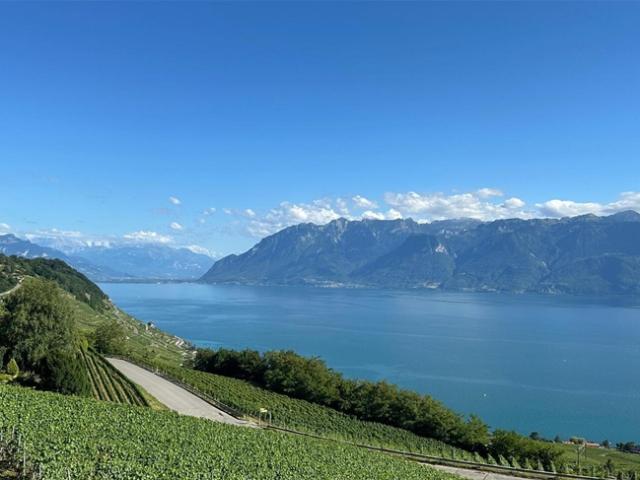 Einfamilienhaus kaufen in Chexbres, Waadt