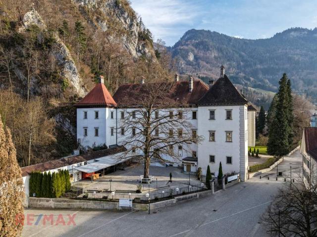 Gewerbe mieten in Dornbirn, Vorarlberg