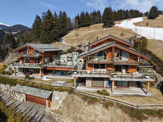 Haus kaufen in Gryon, Waadt