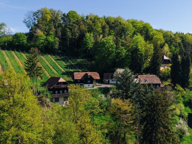 Haus kaufen in Gamlitz, Steiermark