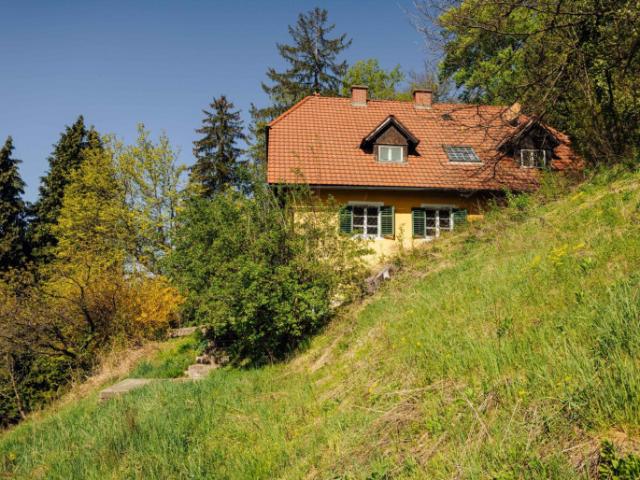 Landwirtschaft kaufen in Gamlitz, Steiermark