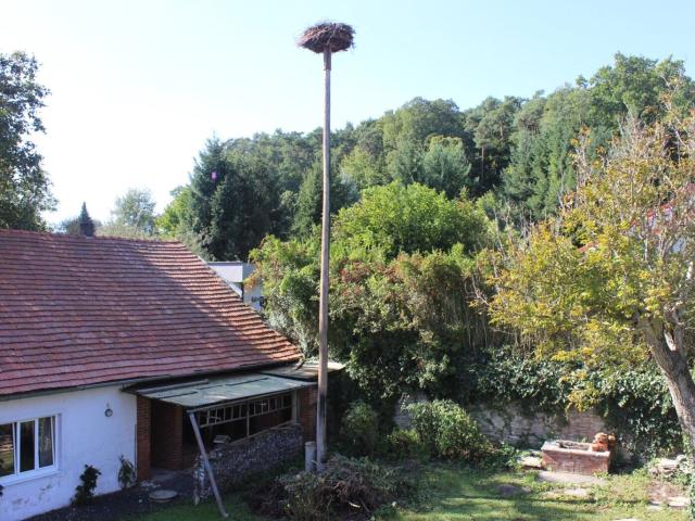 Haus kaufen in Jormannsdorf, Bad Tatzmannsdorf