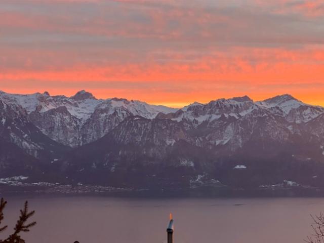 Einfamilienhaus kaufen in Chardonne, Waadt