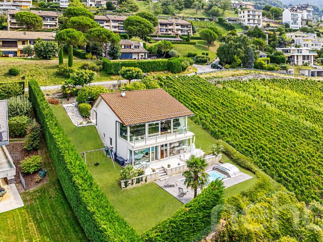 Haus kaufen in Chernex, Waadt