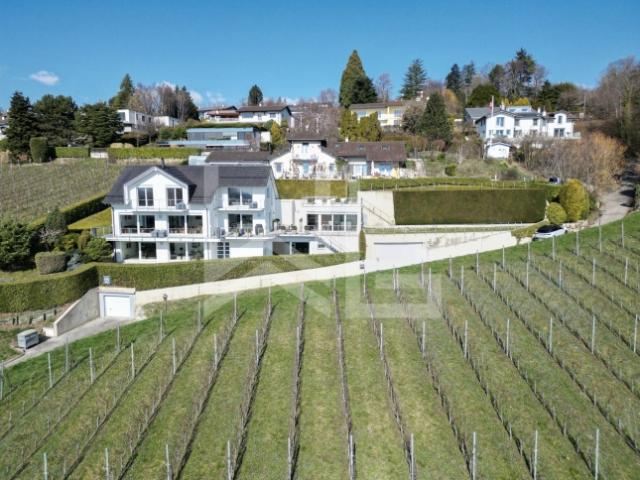 Einfamilienhaus kaufen in Begnins, Waadt