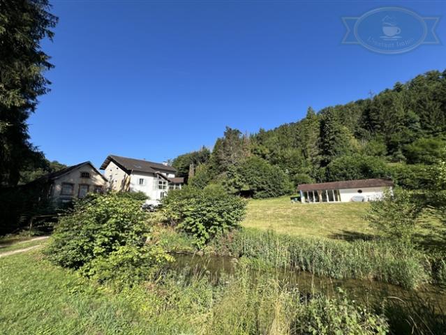 Einfamilienhaus kaufen in Haute-Ajoie, Jura