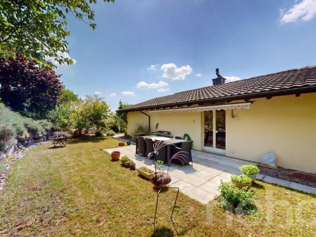 Einfamilienhaus kaufen in Illnau-Effretikon, Zürich