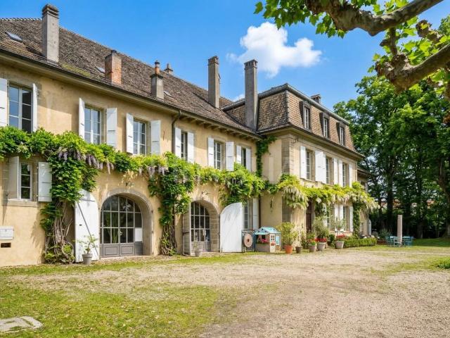 Haus kaufen in Féchy, Waadt