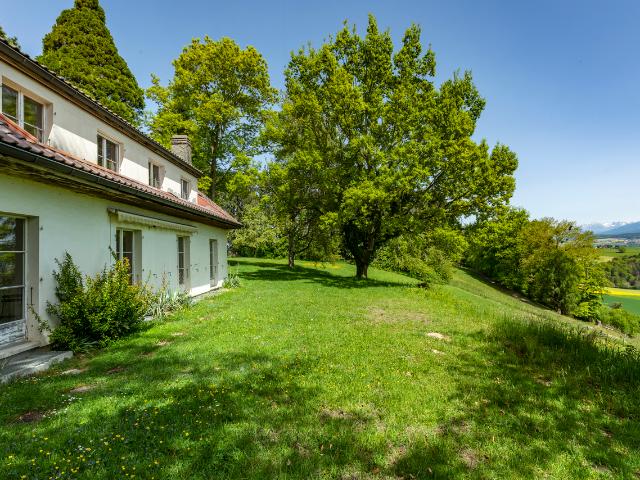 Reihenfamilienhaus kaufen in Neyruz (FR), Freiburg