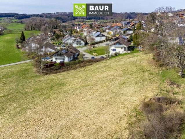 Erdgeschosswohnung kaufen in Wolfegg, Baden-Württemberg
