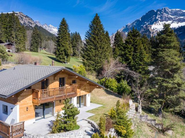 Haus kaufen in Ollon (VS), Waadt