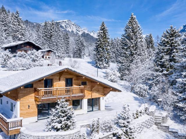 Haus kaufen in Gryon, Waadt