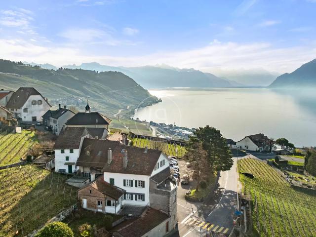 Haus kaufen in Bourg-en-Lavaux, Waadt