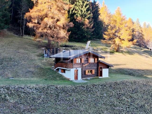 Haus kaufen in Riddes, Wallis