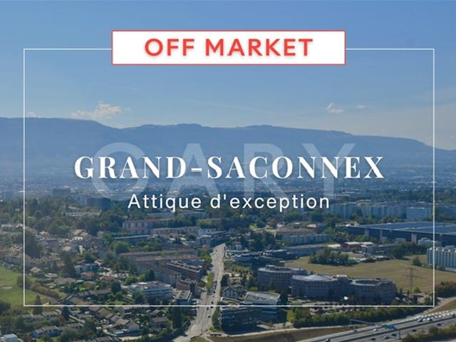 Wohnung kaufen in Le Grand-Saconnex