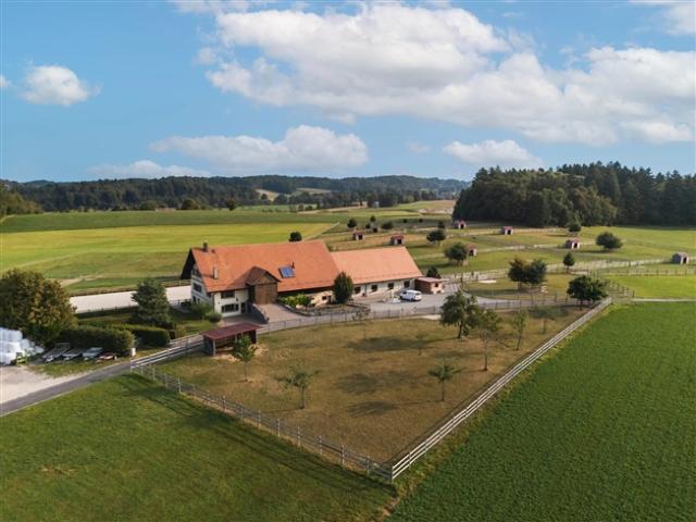 Einfamilienhaus kaufen in Savigny, Waadt