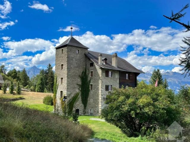 Einfamilienhaus kaufen in Les Mayens-de-Sion, Wallis