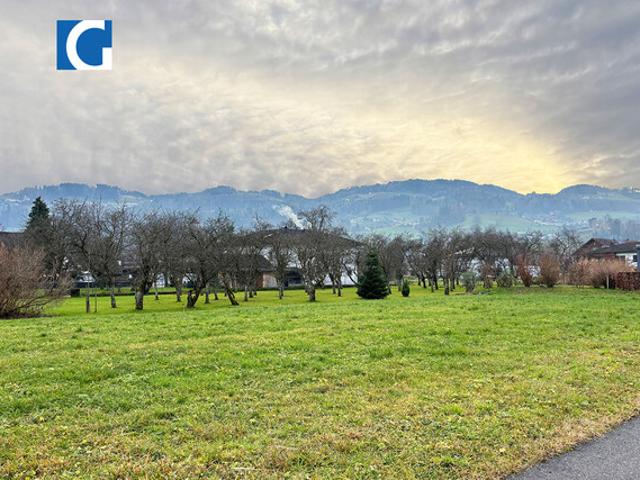Grundstück kaufen in Gaißau, Vorarlberg
