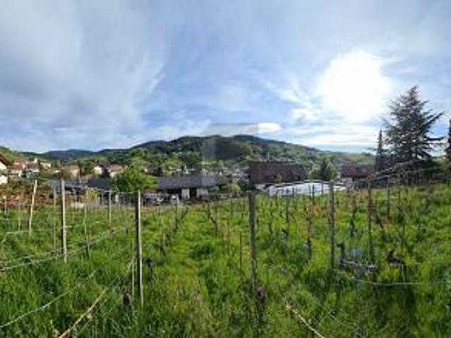 Erdgeschosswohnung mieten in Bühlertal, Baden-Württemberg