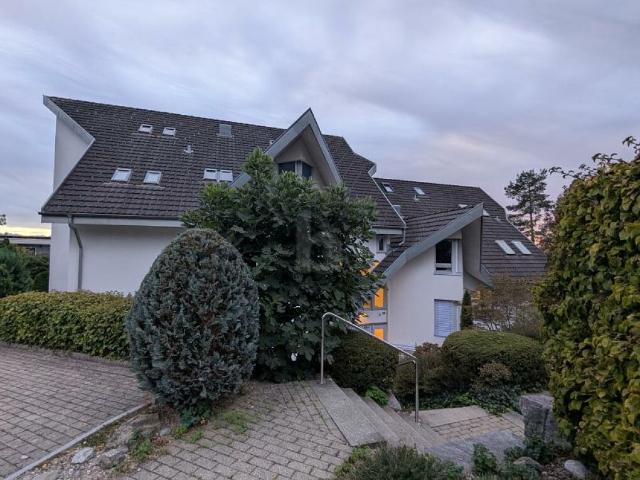 Wohnung mieten in Affoltern am Albis, Zürich