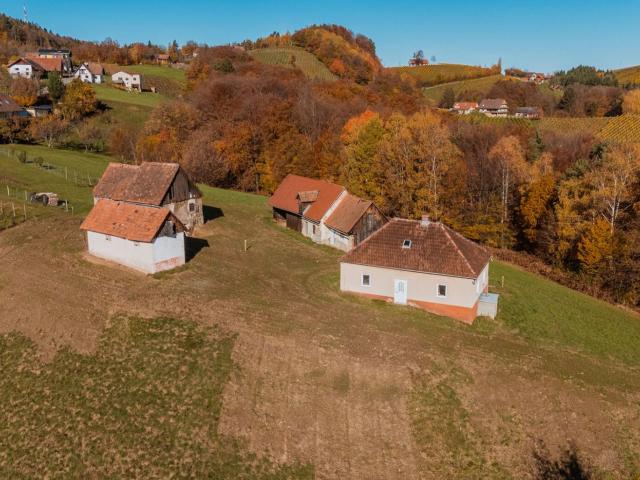 Landwirtschaft kaufen in Kitzeck im Sausal, Steiermark