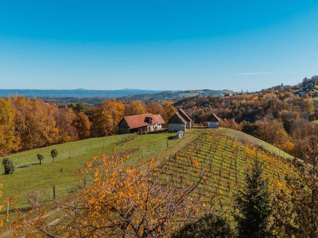 Haus kaufen in Kitzeck im Sausal, Steiermark