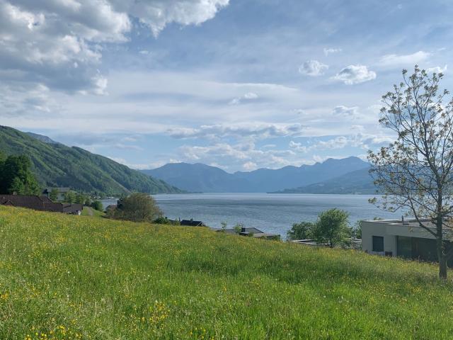 Grundstück kaufen in Weyregg am Attersee, Oberösterreich