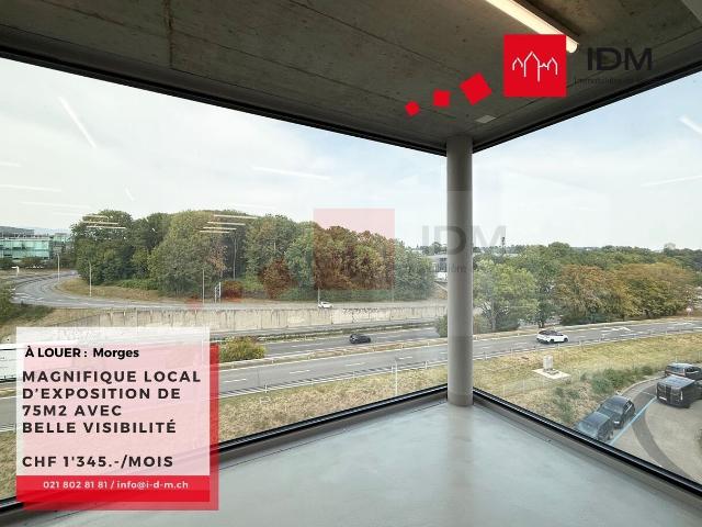 Industrie mieten in Morges, Waadt