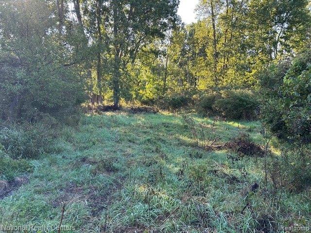 Land for sale in Michigan
