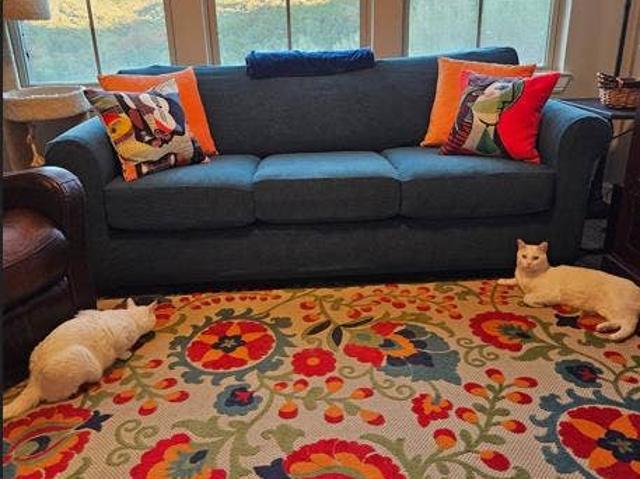 Room for rent in Balcones Park, Austin