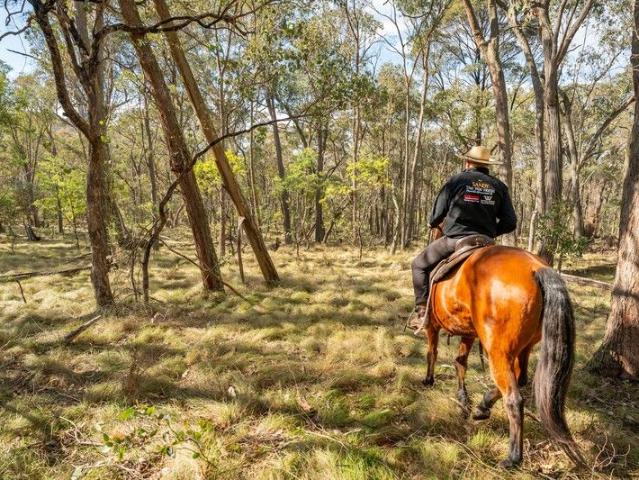 Cottage for sale in Koetong, Victoria